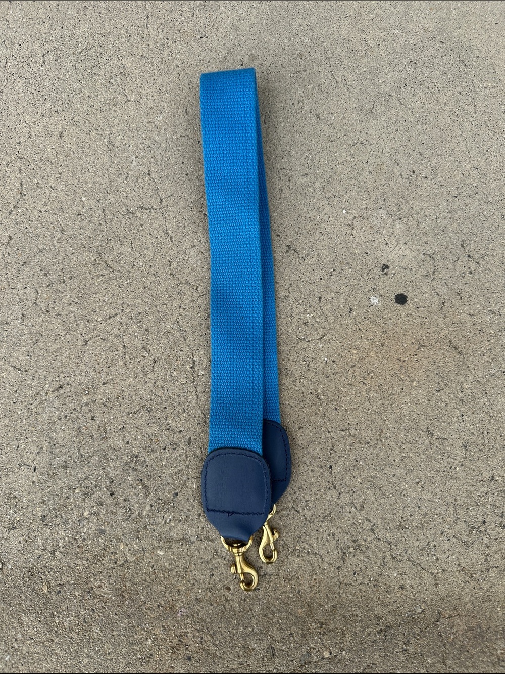 Blue Webbing Shoulder Strap for Women Bags